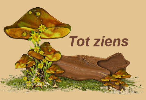totziens.jpg