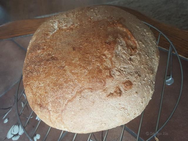 Haverbrood